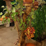 Locanda Riccomaggio Bebida