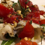Staedlin Cibo