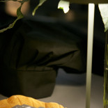 Villa Bisbini drink