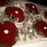 Bocciolo Nourriture