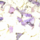 Camisadu Comida