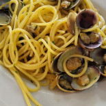 Splendor Comida