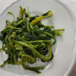 Splendor Comida