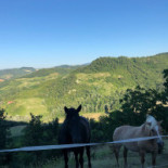Agriturismo Mondo Antico Exterior