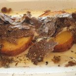 Trattoria Del Brugo food
