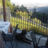 Trattoria Del Brugo outside