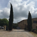 Tenuta Casteani Extérieur