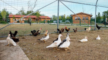 Agriturismo La Contea Del Vignolo Fiorito outside