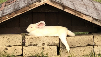 Agriturismo La Contea Del Vignolo Fiorito outside