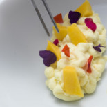 Spoon Bebida