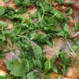 Spillo Pizza E Cucina Nourriture