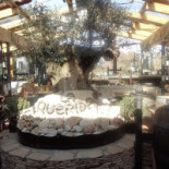 La Querida Exterior