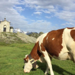 Rifugio Cristina In Valmalenco Exterior