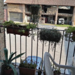 Pizzeria Il Cinghei Extérieur