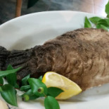 Sa Lolla Comida