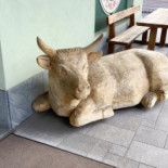 Lo Spaccio Della Latteria Di Chiuro Boisson