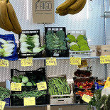 Frigo Boisson