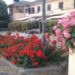 Trattoria Da Oliviera