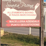 Suavia Picena Panini D'autore Extérieur