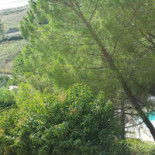 Garden Exterior