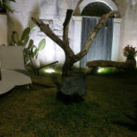 Garden Extérieur