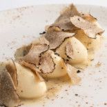 Il Rifocillo Bebida
