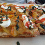 Sp.accio food