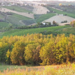 Morobello Exterior