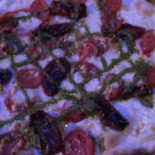 Only Pizza Love food