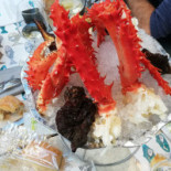 Papo Essen