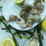 Ricotta Bebida