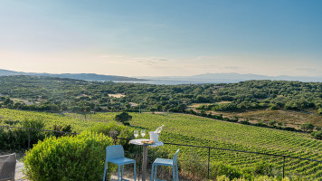 Petra Bianca Winery Food And Organic Wine outside