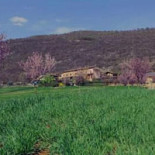 Ragno D'oro Exterior