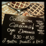 Ragno D'oro Carte