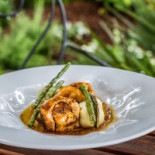 Bettolina food