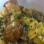 Talaat Cibo