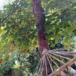 Fattoria Le Rocche Extérieur