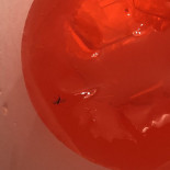 Montelusino Bebida