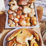 Antica Greppia Comida