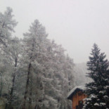 Chalet Il Capriolo Extérieur