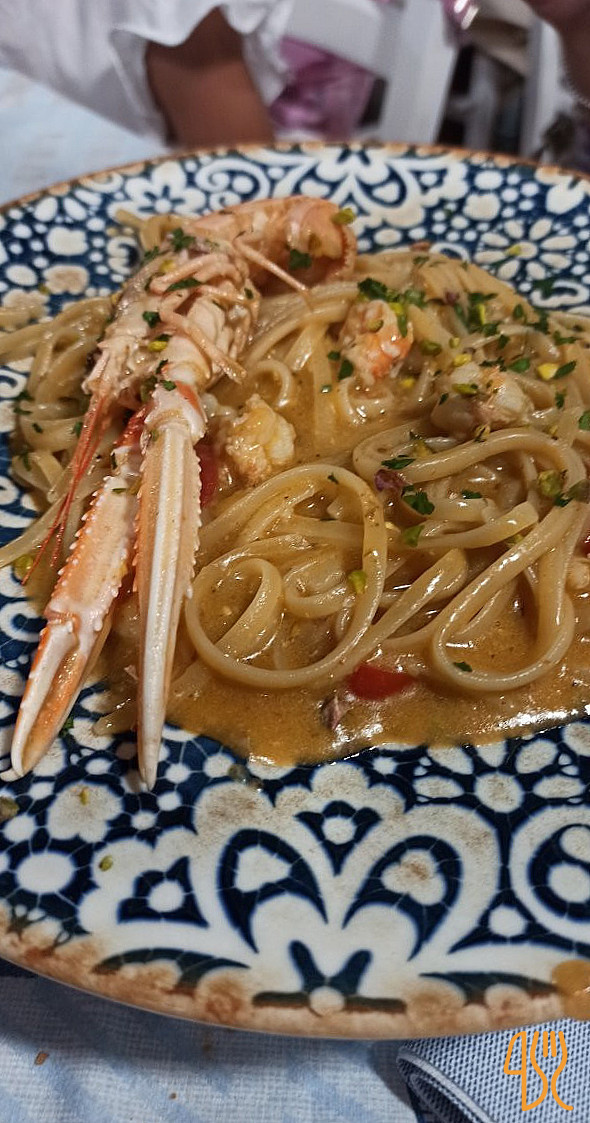 Zito 41 Comida