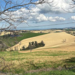 Braciando Carne Dintorni outside