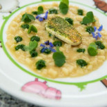 Al Persef Food