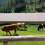 Malga Ombretta Exterior