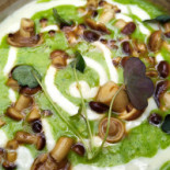 1477 Reichhalter food