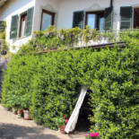 La Curandera Exterior