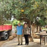 Maltese Extérieur