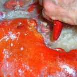 Osteria Tre Nodi Comida