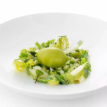 Grow Comida