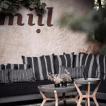 Miil Dentro